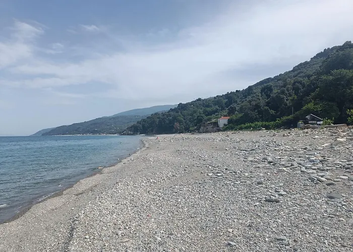 Lemongarden By The Sea