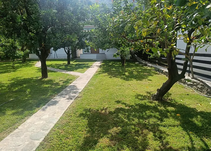 Lemongarden By The Sea