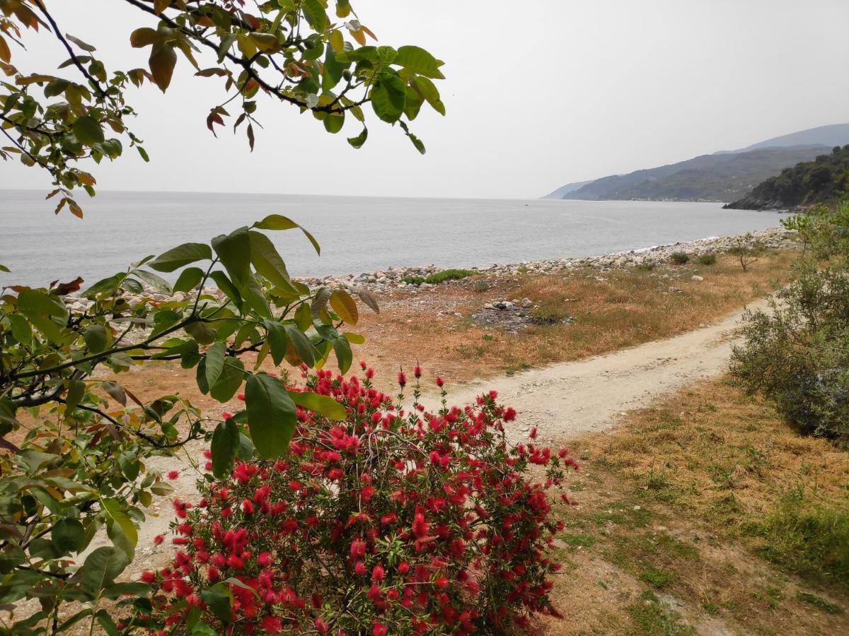 Lemongarden By The Sea Holiday home