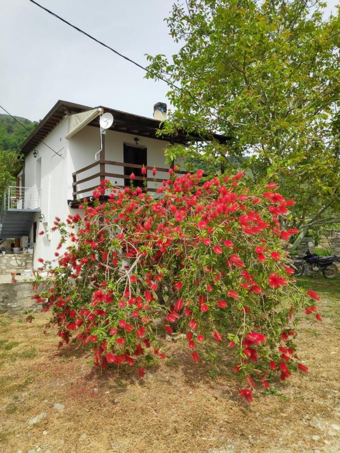 Lemongarden By The Sea Holiday home