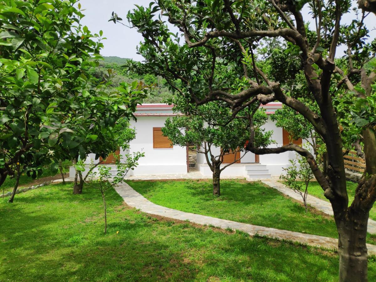 Holiday home Lemongarden By The Sea *